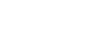 Online Transport System